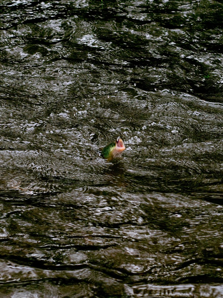 Fashion photography photographie by Marvin Merkel